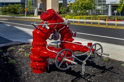 Dual Backflow Preventers