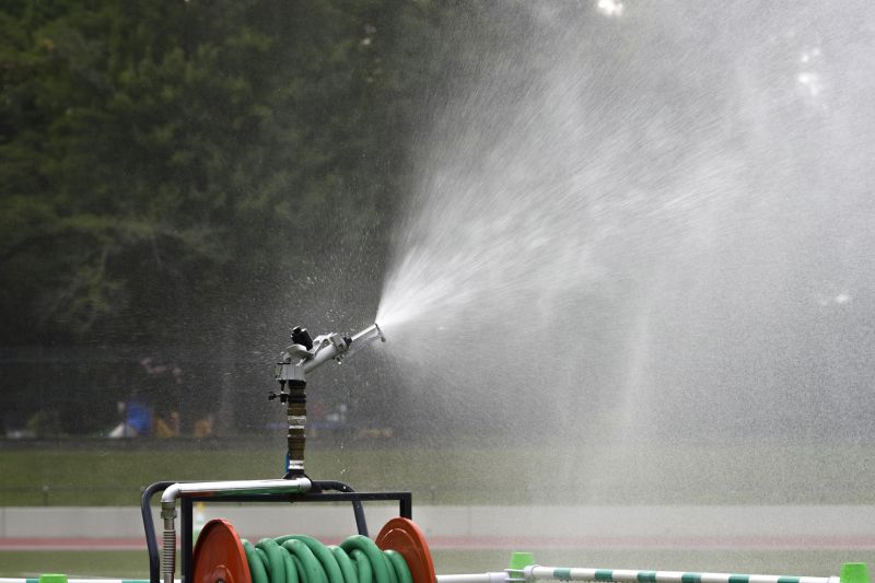 Seasonal Considerations