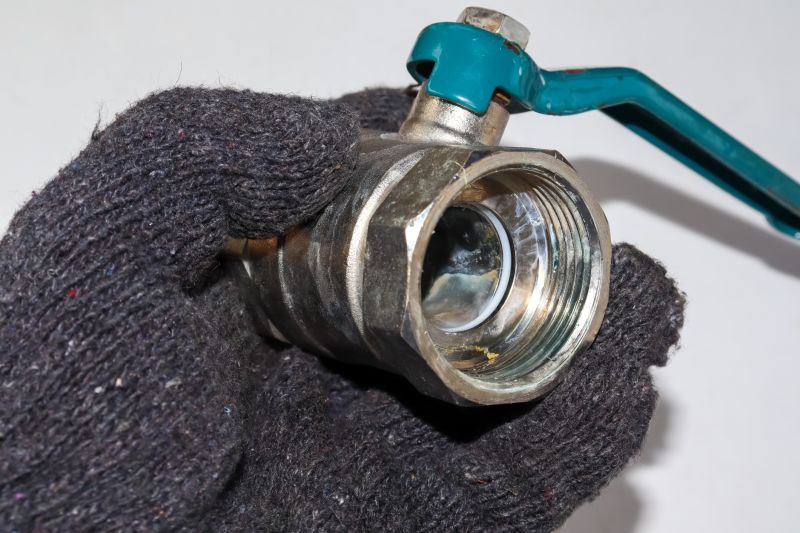 Coordination with Professionals